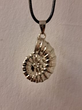 Silver Nautilus Shell Pendant Necklace - Women Jewelry